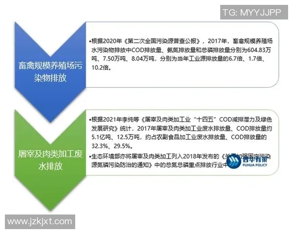 广州网球队转型之路：挑战与机遇并存的竞技新篇章